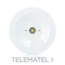 ZEMPER - LUMERG.STD.300lm NP 1h AUTON.