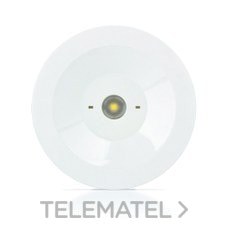 ZEMPER - LUMERG.STD.50lm NP 1h AUTON.