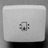 NIESSEN - TECLA INT.TARJETA S.ARCO COBRE