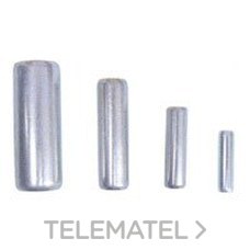 DF - FUS.UTE 8x31 T-00 NEUTRO - Imagen 2