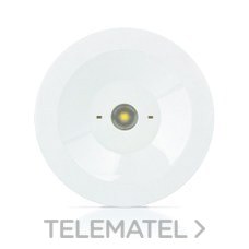 ZEMPER - LUMERG.STD.100lm NP 1h AUTON.