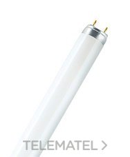 OSRAM - LAMPARA LUMILUX L18/865 18W d.26mm (SYLVANIA 0001502) - Imagen 2