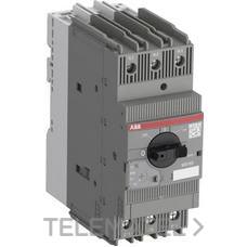 ABB - GUARDAMOTOR MS165-65 DE 52-65A