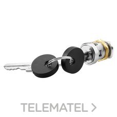 GEWISS - CERRADURA C/LLAVE METALICA P/CENTRALITAS - Imagen 2