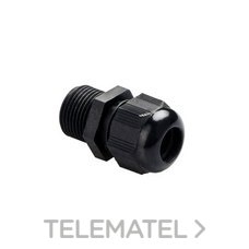 THOMAS & BETTS - Prensaestopas M50 (30-38) nylon gris claro
