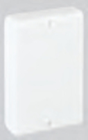 SIMON - TAPA FINAL PC 90x55mm BLANCO NIEVE